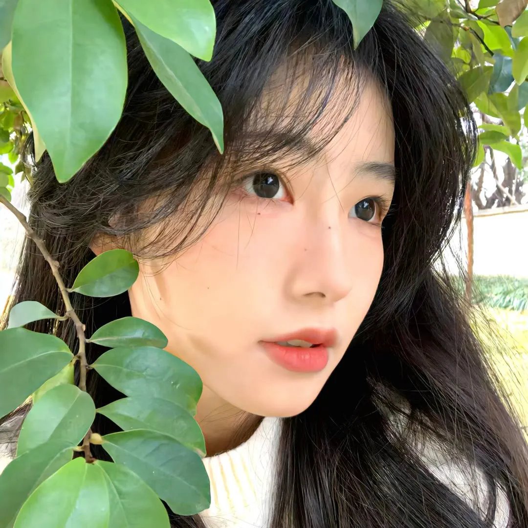生存法则